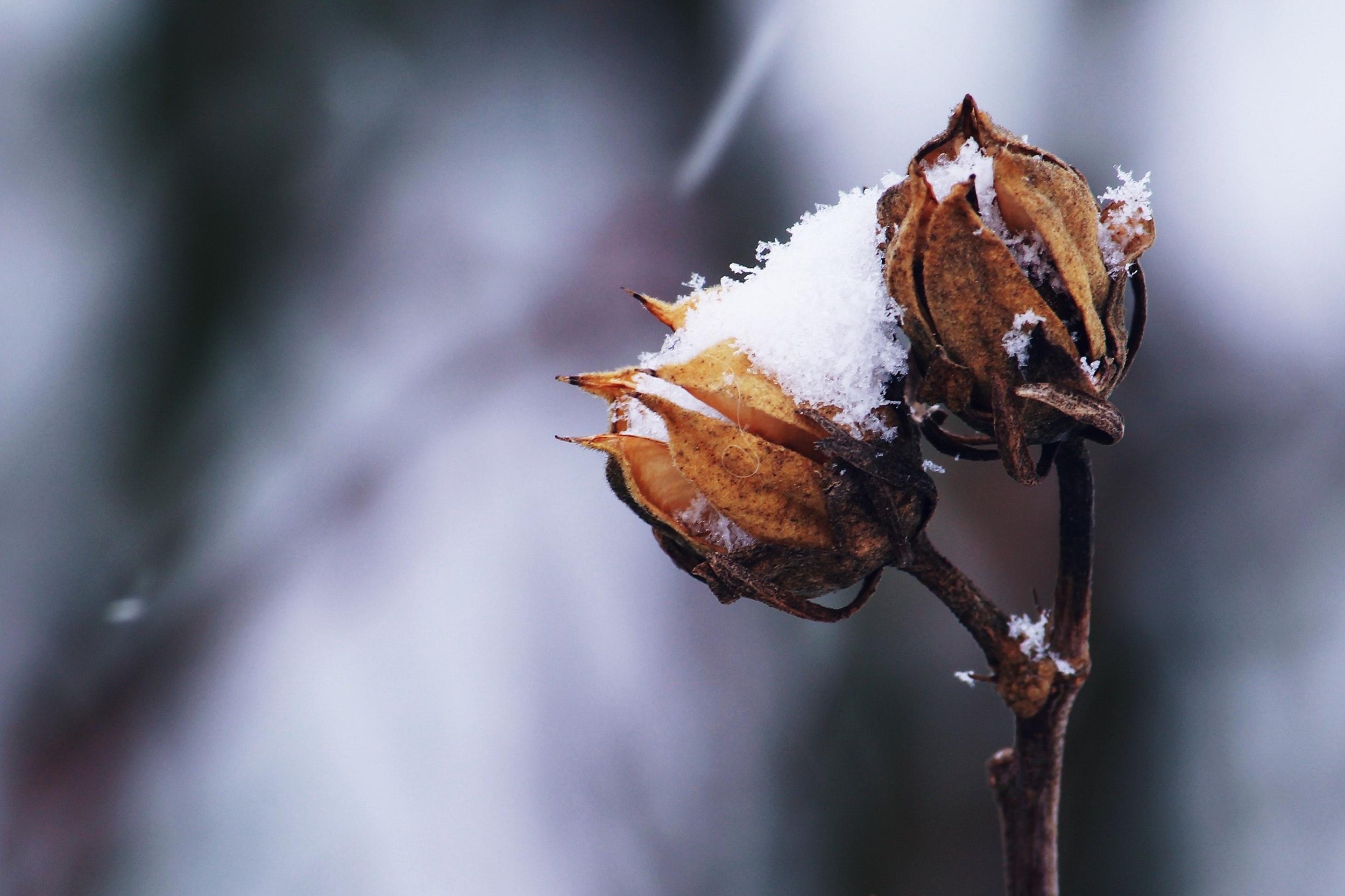 5 Methods to Get Your Yard “Restore” Contained in the Winter