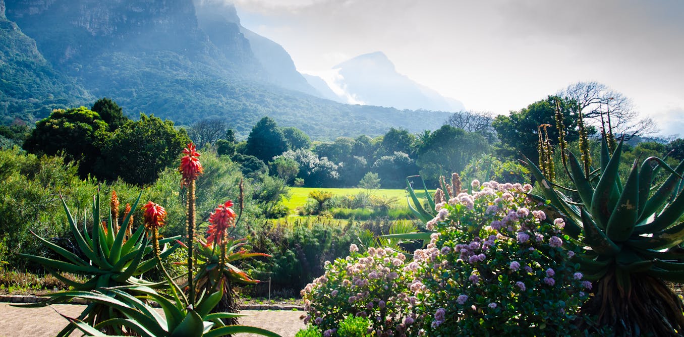 How the colonial earlier of botanical gardens might be put to good use