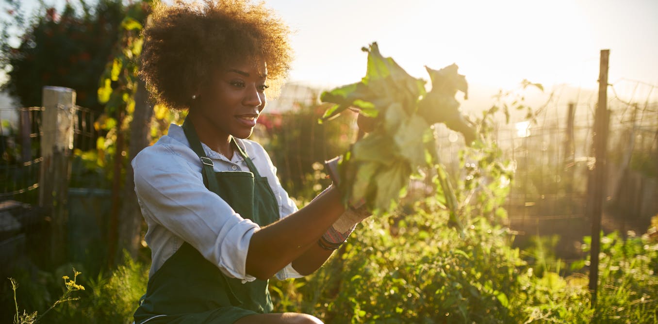 why medical medical docs are prescribing gardening comparatively than medication