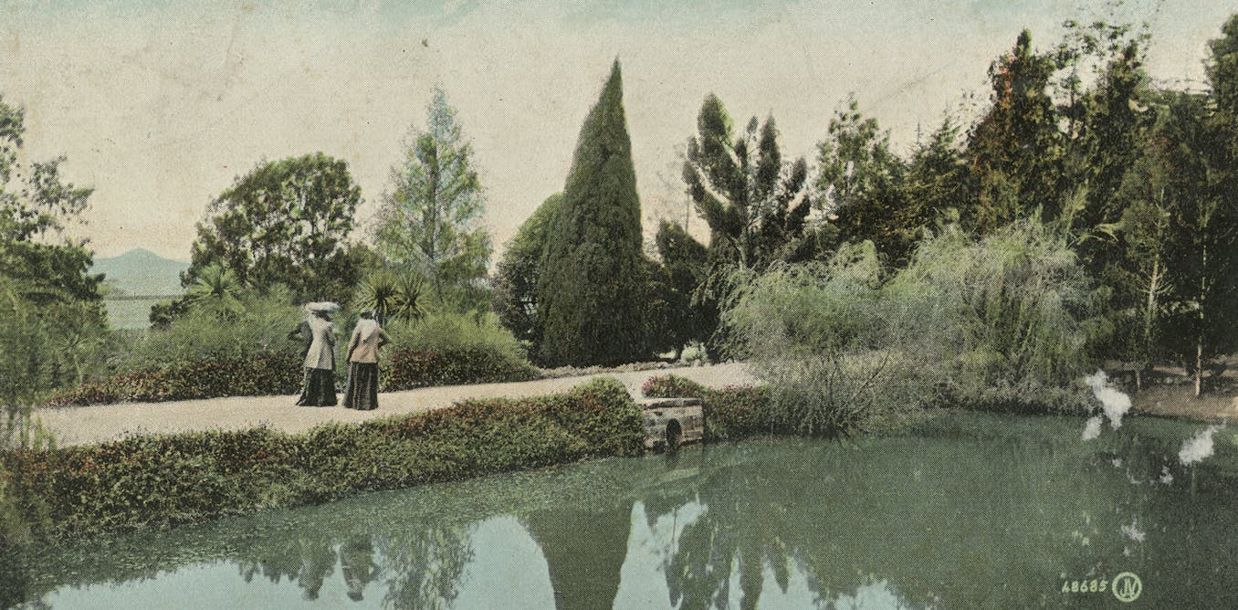 Most individuals historic earlier, native local weather change current, and attainable technique forward for Australia’s botanic gardens