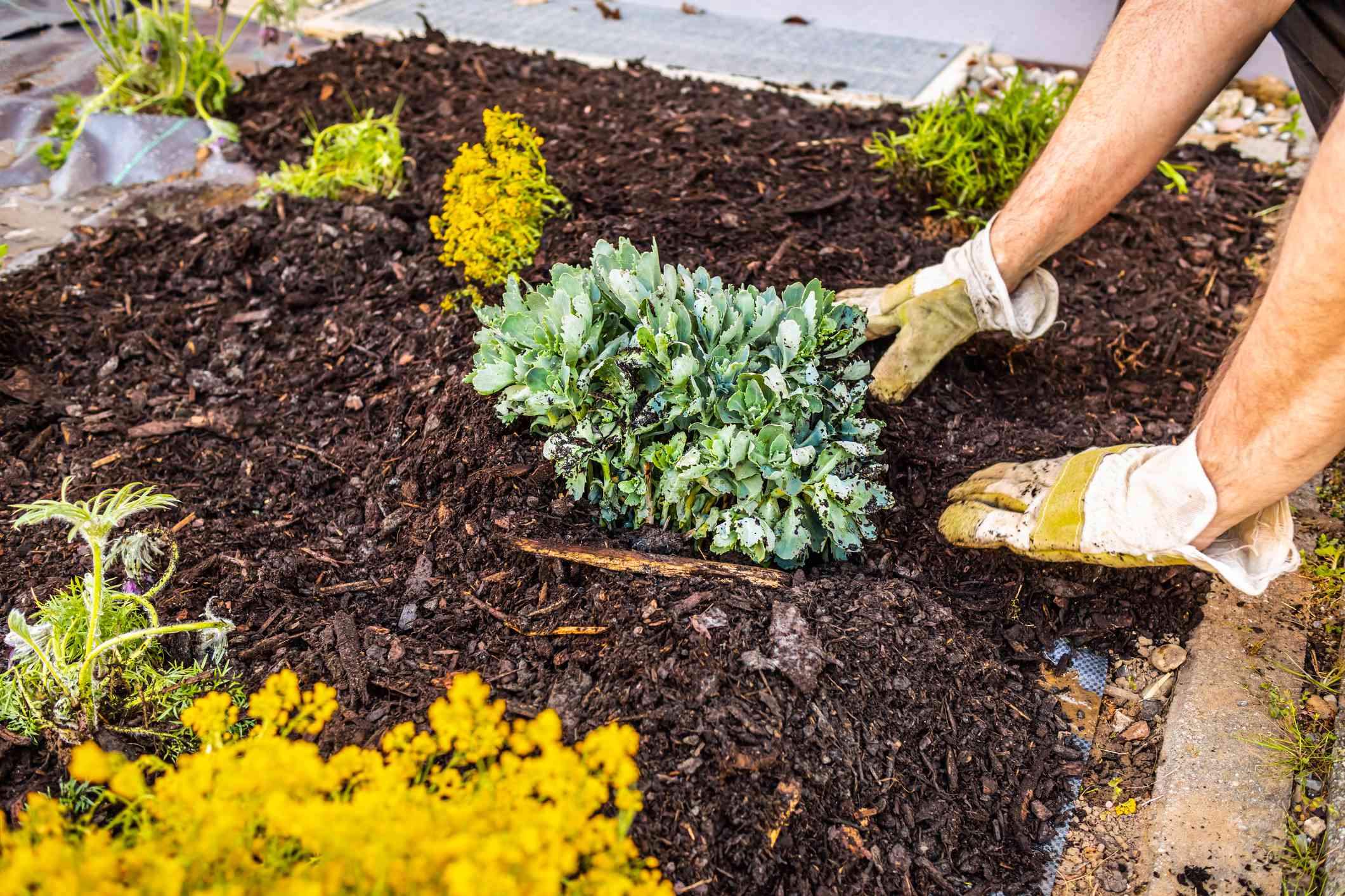 How So much Does a Yard of Mulch Really Worth?